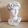 David Head Michelangelo Statue